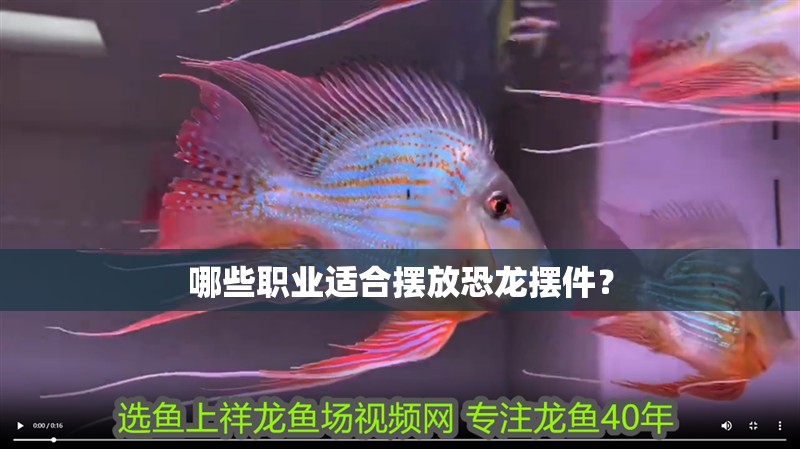 哪些職業適合擺放恐龍擺件？