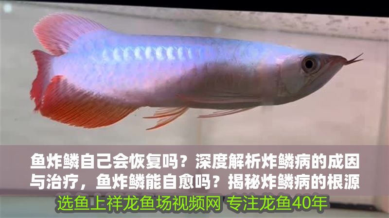 詳細(xì)閱讀:魚(yú)炸鱗自己會(huì)恢復(fù)嗎?深度解析炸鱗病的成因與治療,魚(yú)炸鱗能自愈嗎?揭秘炸鱗病的根源與科學(xué)治療方法 魚(yú)炸鱗自己會(huì)恢復(fù)嗎?深度解析炸鱗病的成因與治療,魚(yú)炸鱗能自愈嗎?揭秘炸鱗病的根源與科學(xué)治療方法