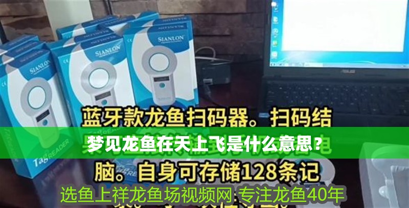 夢見龍魚在天上飛是什么意思？