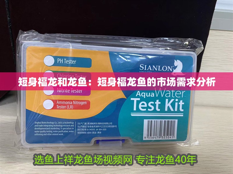 短身福龍和龍魚：短身福龍魚的市場需求分析