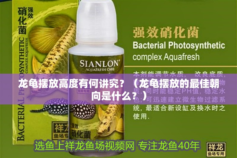 龍龜擺放高度有何講究？（龍龜擺放的最佳朝向是什么？）