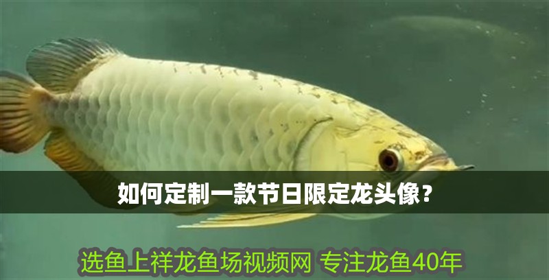 如何定制一款節日限定龍頭像？