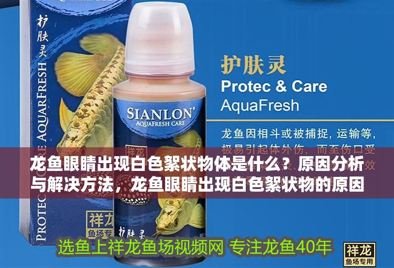 龍魚眼睛出現白色絮狀物體是什么？原因分析與解決方法，龍魚眼睛出現白色絮狀物的原因及解決辦法