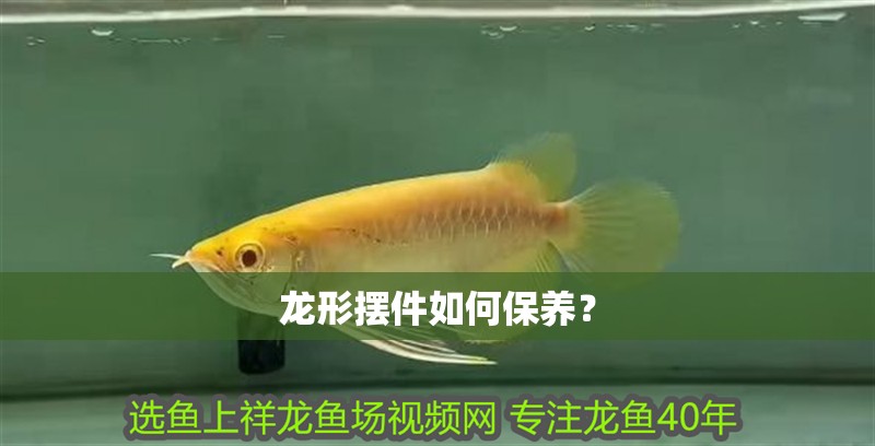 龍形擺件如何保養？