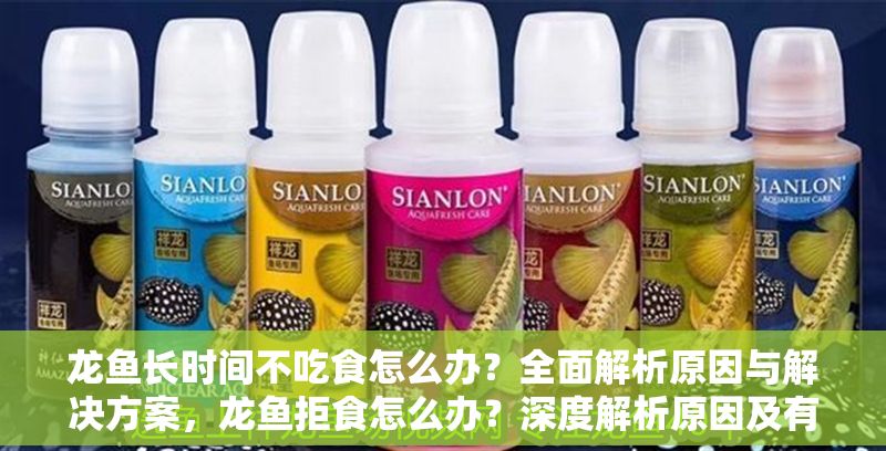 龍魚長時間不吃食怎么辦？全面解析原因與解決方案，龍魚拒食怎么辦？深度解析原因及有效解決對策