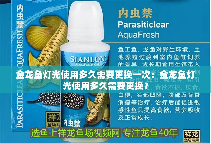 金龍魚燈光使用多久需要更換一次：金龍魚燈光使用多久需要更換？