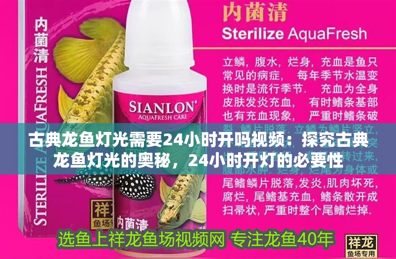 古典龍魚燈光需要24小時開嗎視頻：探究古典龍魚燈光的奧秘，24小時開燈的必要性