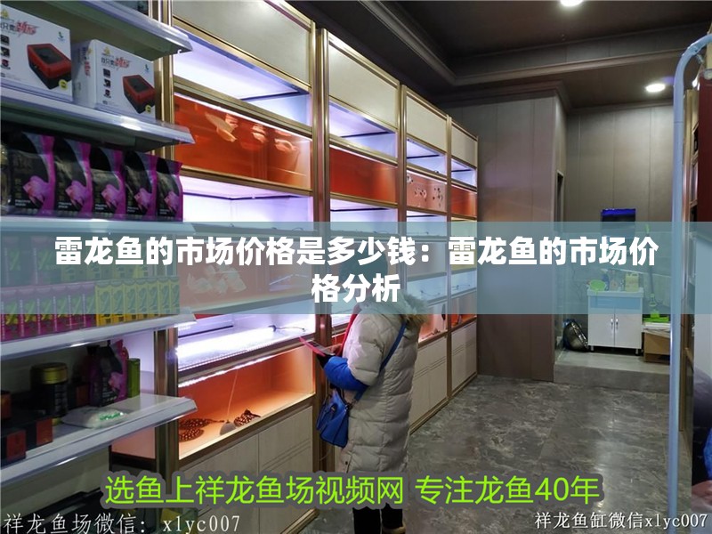 雷龍魚的市場價格是多少錢：雷龍魚的市場價格分析