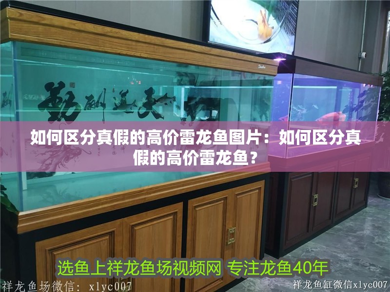 如何區(qū)分真假的高價雷龍魚圖片：如何區(qū)分真假的高價雷龍魚？