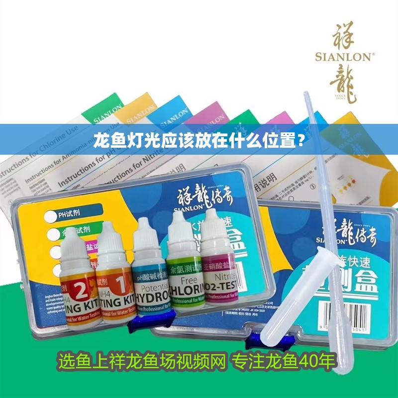 龍魚燈光應該放在什么位置？