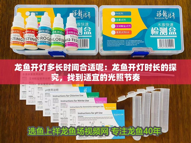 龍魚開燈多長時間合適呢：龍魚開燈時長的探究，找到適宜的光照節奏