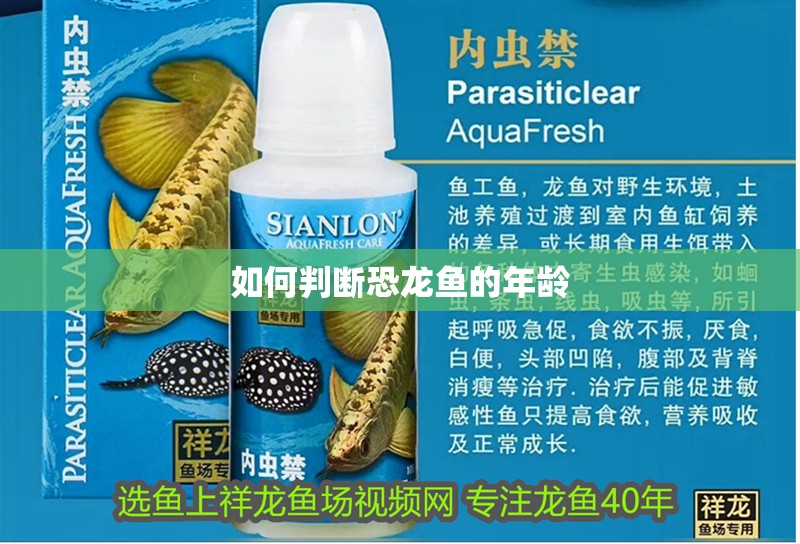 如何判斷恐龍魚的年齡