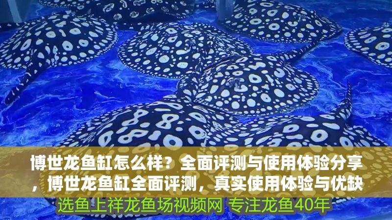 博世龍魚缸怎么樣？全面評測與使用體驗分享，博世龍魚缸全面評測，真實使用體驗與優缺點分享