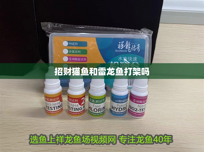 最大的紅龍魚圖片大全集