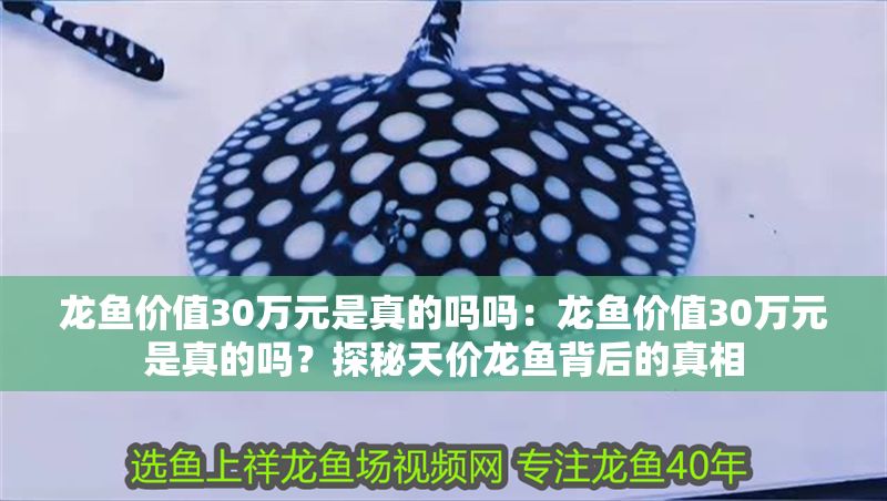 龍魚價值30萬元是真的嗎嗎：龍魚價值30萬元是真的嗎？探秘天價龍魚背后的真相