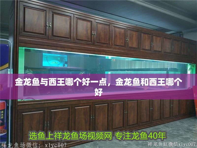 金龍魚與西王哪個(gè)好一點(diǎn)，金龍魚和西王哪個(gè)好