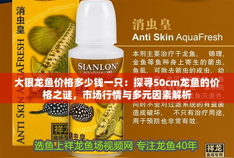 大銀龍魚價(jià)格多少錢一只：探尋50cm龍魚的價(jià)格之謎，市場(chǎng)行情與多元因素解析