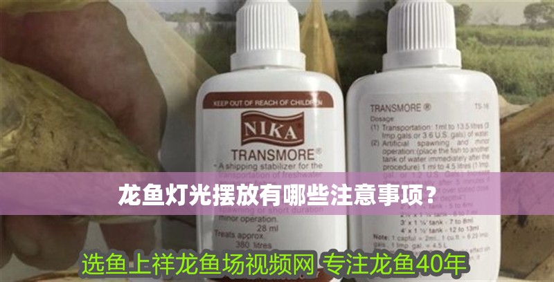 龍魚燈光擺放有哪些注意事項？ 龍魚燈光擺放有哪些注意事項？ 龍魚百科