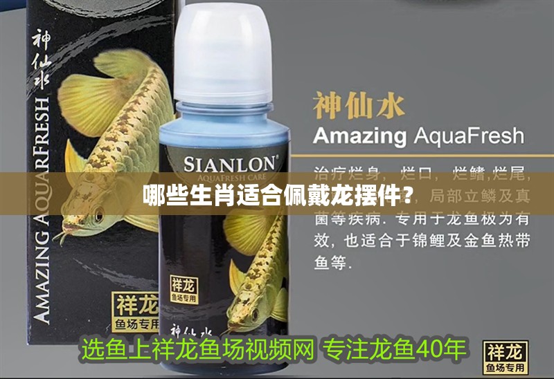 哪些生肖適合佩戴龍擺件？