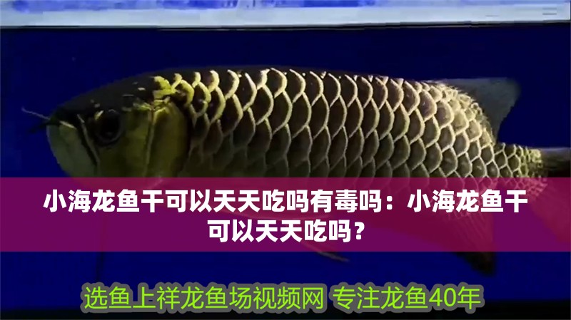 小海龍魚干可以天天吃嗎有毒嗎：小海龍魚干可以天天吃嗎？