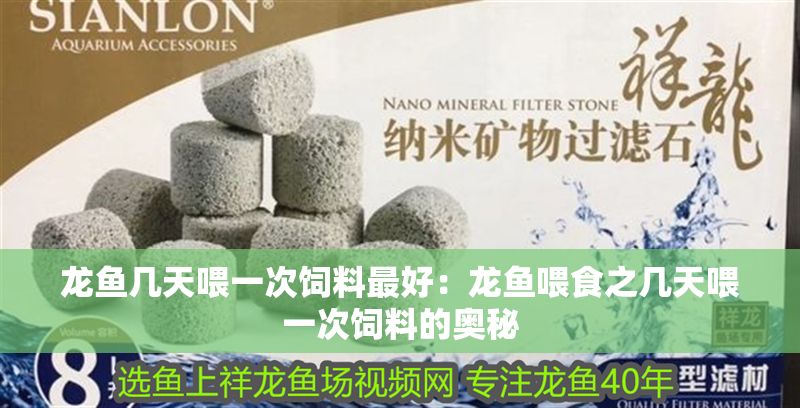 龍魚幾天喂一次飼料最好：龍魚喂食之幾天喂一次飼料的奧秘