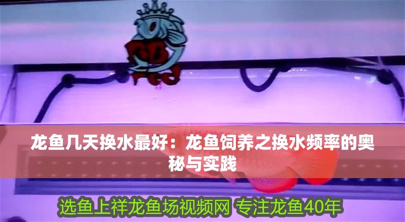 龍魚(yú)幾天換水最好：龍魚(yú)飼養(yǎng)之換水頻率的奧秘與實(shí)踐