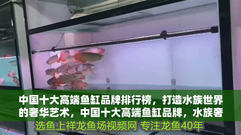 中國(guó)十大高端魚缸品牌排行榜，打造水族世界的奢華藝術(shù)，中國(guó)十大高端魚缸品牌，水族奢華的巔峰之選