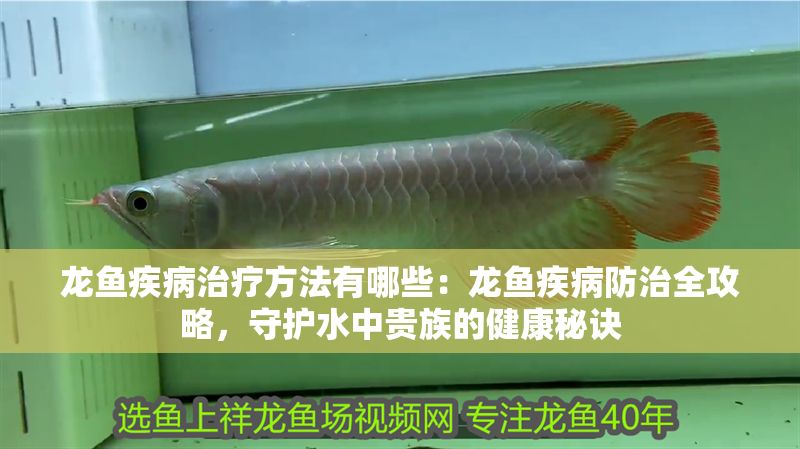龍魚疾病治療方法有哪些：龍魚疾病防治全攻略，守護水中貴族的健康秘訣