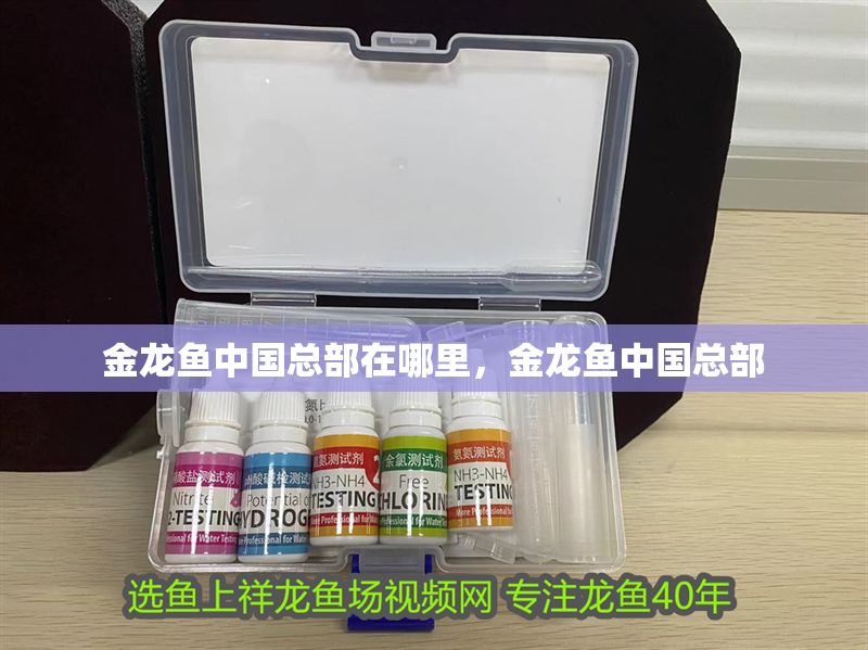 金龍魚中國總部在哪里，金龍魚中國總部