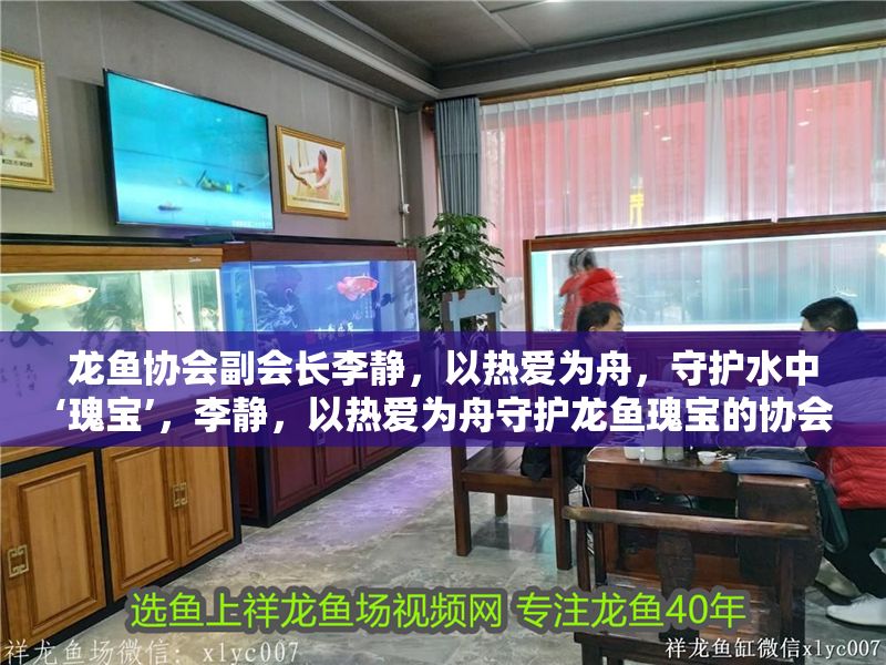 龍魚協會副會長李靜，以熱愛為舟，守護水中‘瑰寶’，李靜，以熱愛為舟守護龍魚瑰寶的協會副會長