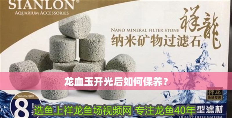 魚缸用增氧泵價格是多少:魚缸增氧機-xtrac增氧機-xtrac增氧機 龍血玉開光后如何保養? 龍魚百科 龍血玉開光后如何保養? 龍血玉開光后如何保養? 龍魚百科