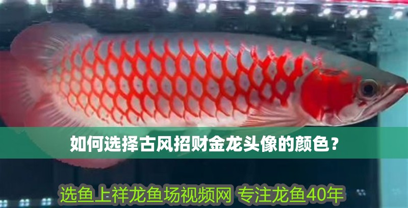 如何選擇古風招財金龍頭像的顏色？
