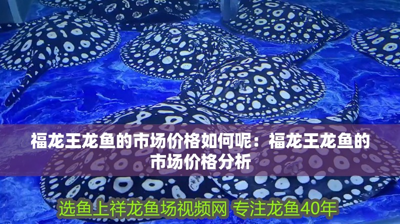 福龍王龍魚的市場價格如何呢：福龍王龍魚的市場價格分析
