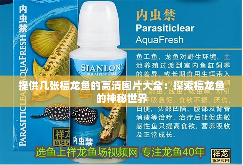 給我幾張不同風格的金龍魚高清圖片