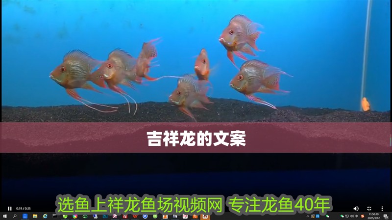 魚缸過濾器選購指南:自制魚缸過濾器魚缸上置過濾器對于養魚愛好者的必備知識 吉祥龍的文案 龍魚百科 吉祥龍的文案 吉祥龍的文案 龍魚百科