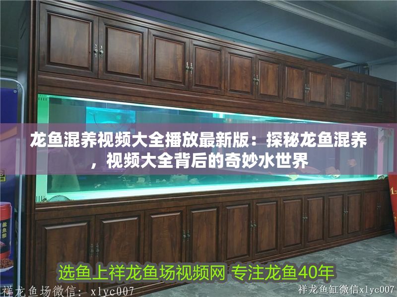 龍魚混養視頻大全播放最新版：探秘龍魚混養，視頻大全背后的奇妙水世界