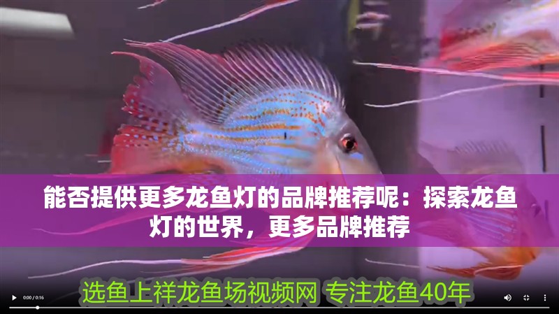 能否提供更多龍魚燈的品牌推薦呢：探索龍魚燈的世界，更多品牌推薦