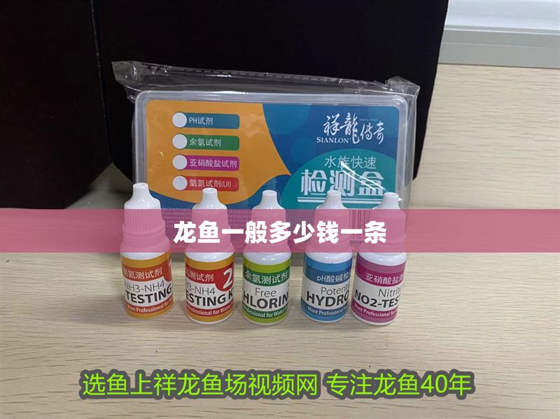 龍魚(yú)一般多少錢(qián)一條