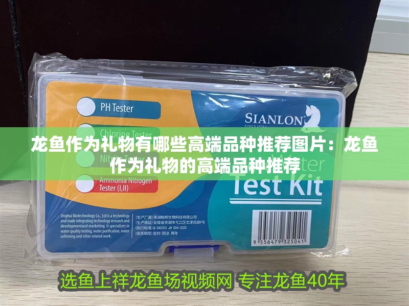 龍魚作為禮物有哪些高端品種推薦圖片：龍魚作為禮物的高端品種推薦