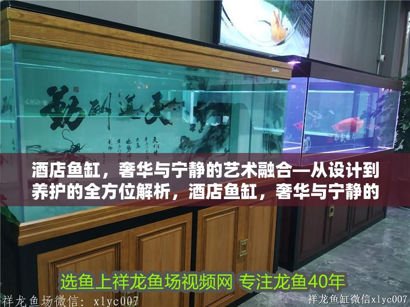 酒店魚缸，奢華與寧靜的藝術(shù)融合—從設(shè)計到養(yǎng)護的全方位解析，酒店魚缸，奢華與寧靜的設(shè)計美學(xué)與養(yǎng)護全指南