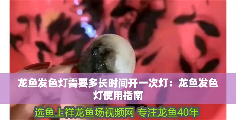 龍魚發(fā)色燈需要多長時間開一次燈：龍魚發(fā)色燈使用指南