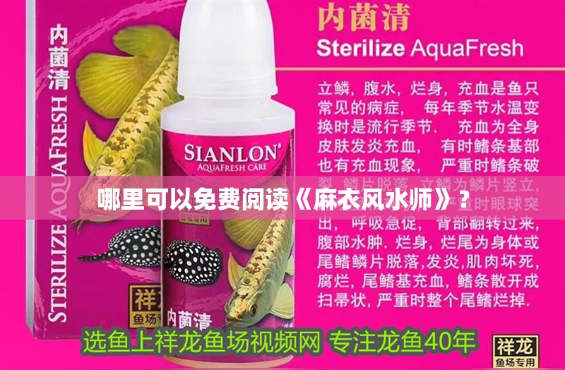 哪里可以免費(fèi)閱讀《麻衣風(fēng)水師》？