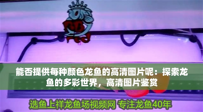 能否提供每種顏色龍魚的高清圖片呢：探索龍魚的多彩世界，高清圖片鑒賞