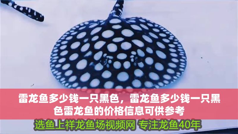 雷龍魚多少錢一只黑色，雷龍魚多少錢一只黑色雷龍魚的價格信息可供參考