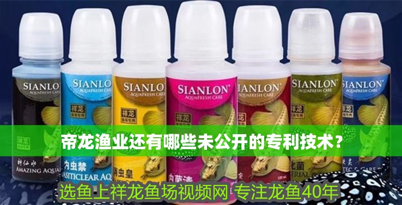帝龍漁業(yè)還有哪些未公開的專利技術(shù)？