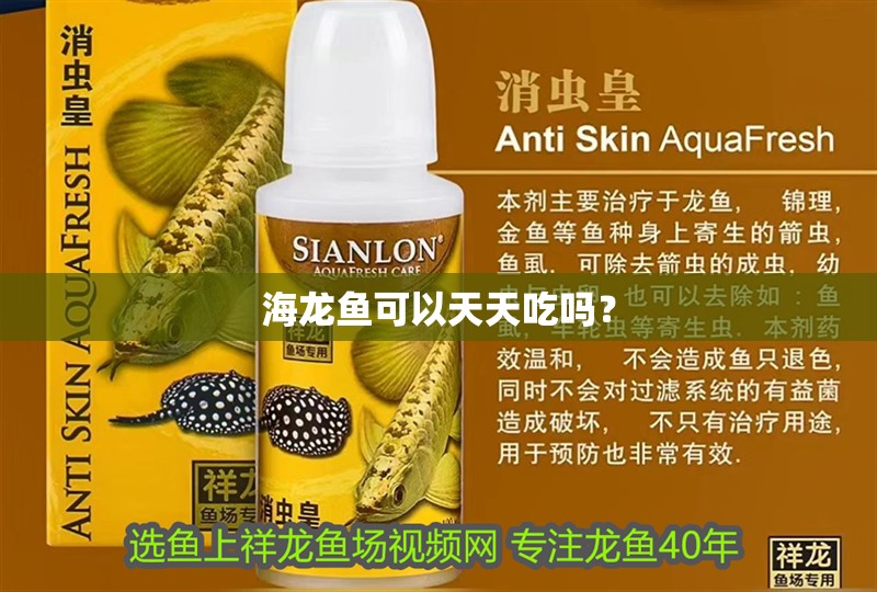海龍魚可以天天吃嗎？