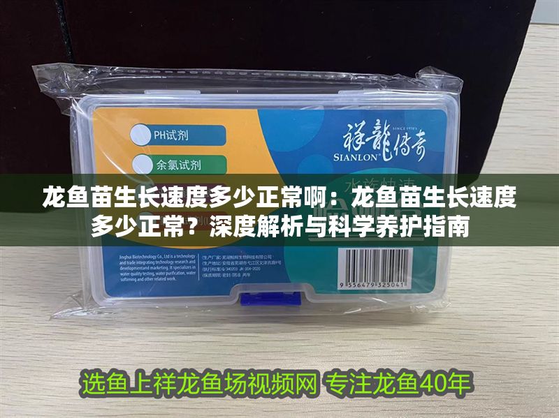 龍魚苗生長速度多少正常啊：龍魚苗生長速度多少正常？深度解析與科學養護指南