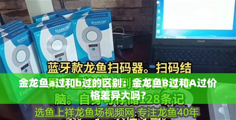 金龍魚a過和b過的區別：金龍魚B過和A過價格差異大嗎？