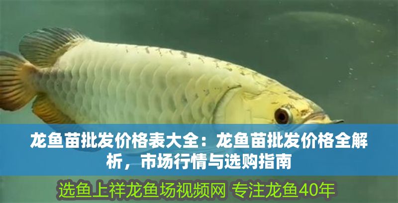 龍魚苗批發價格表大全：龍魚苗批發價格全解析，市場行情與選購指南