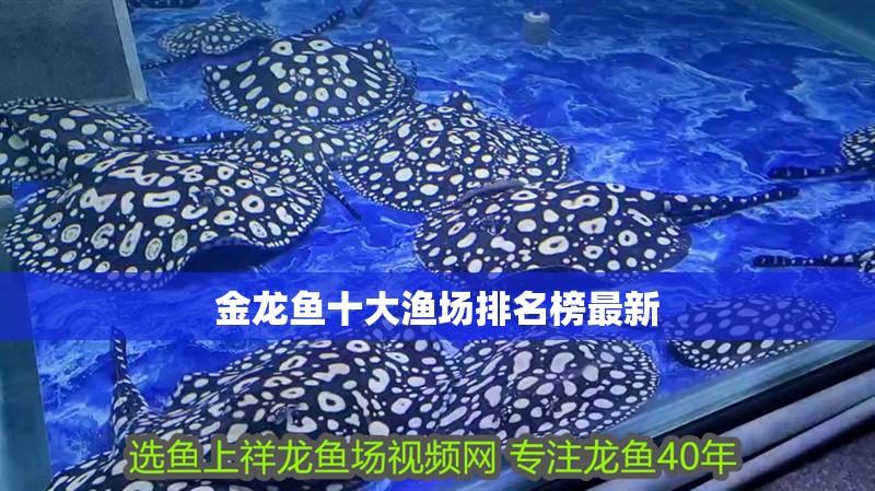 金龍魚十大漁場排名榜最新